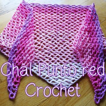 Cómo hacer un chal con el punto red a crochet
